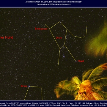 20190210.2.Malediven.Ori.CMa.Palmen