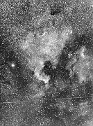 19850814.16.SK.H.Gn.NGC7000+