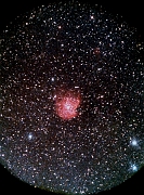 19910115.1.f.SK.Gn.NGC2174+